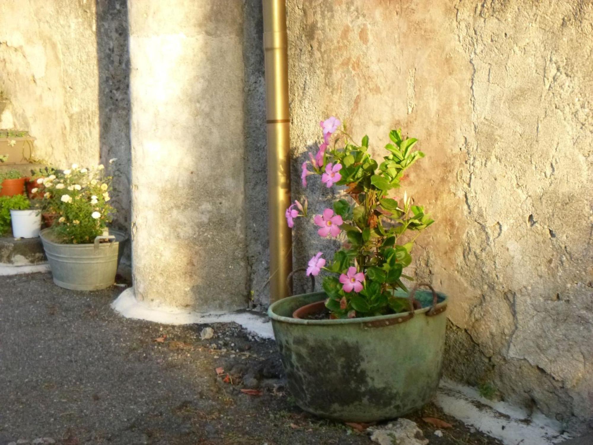 기아레 Baglio Delle Rose B&B 외부 사진